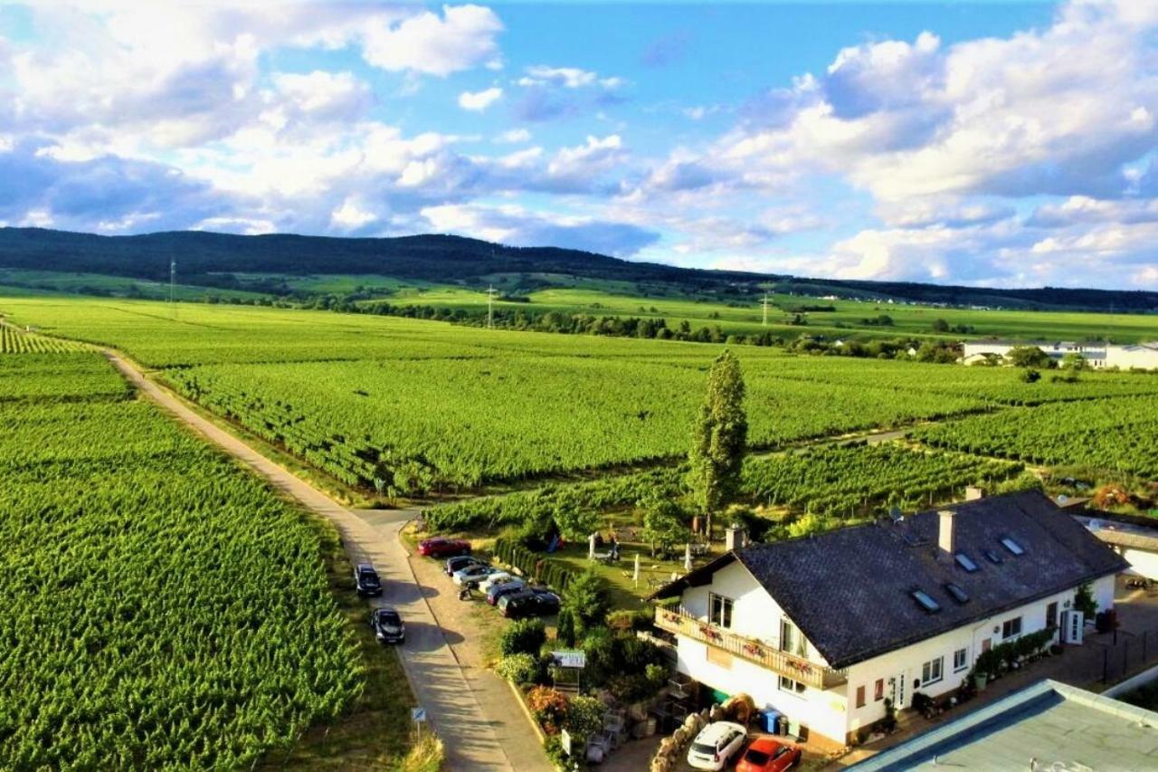 Ferienzimmer Weingut Mack エーストリッヒ・ヴィンケル エクステリア 写真